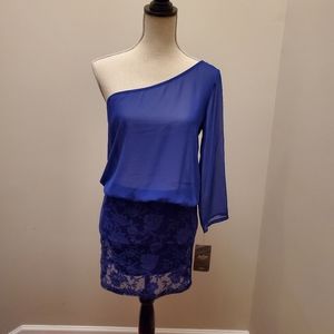 ZARA Sheer Blue Dress Lace NWT Sz M One Shoulder